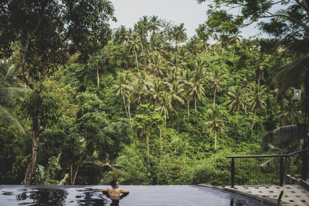 ubud view