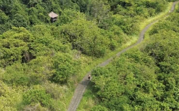 ubud villas