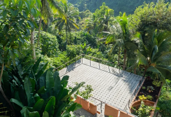 amora-update-yoga-1 amora-update-yoga-1