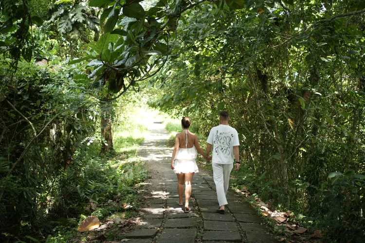 ubud activity ubud activity