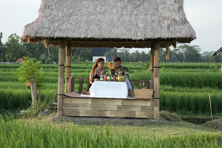ubud picnic ubud picnic